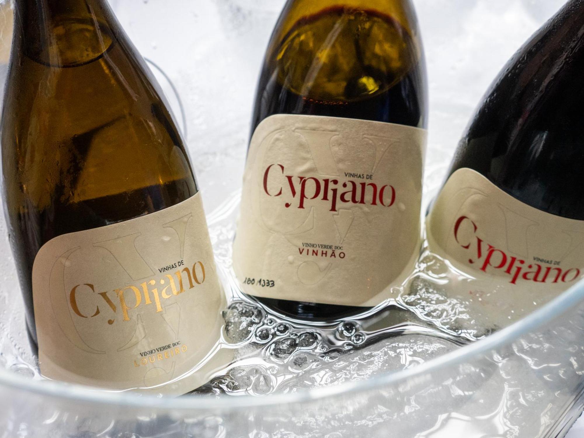 Quinta De Cypriano - Wine & Nature Ponte da Barca Zewnętrze zdjęcie