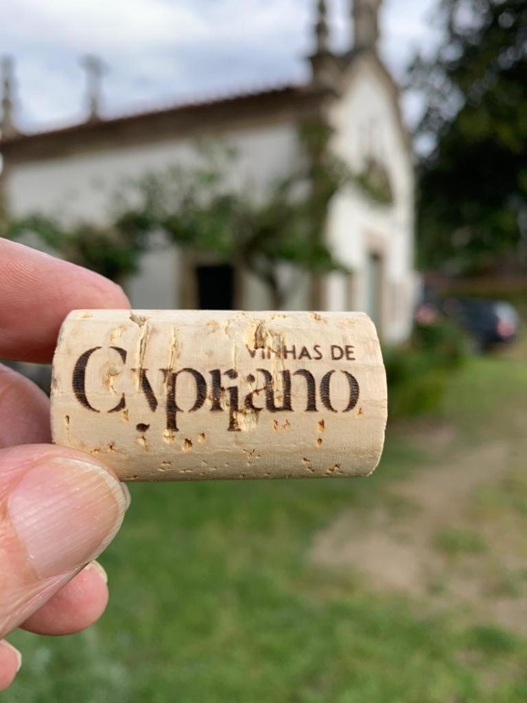 Quinta De Cypriano - Wine & Nature Ponte da Barca Zewnętrze zdjęcie