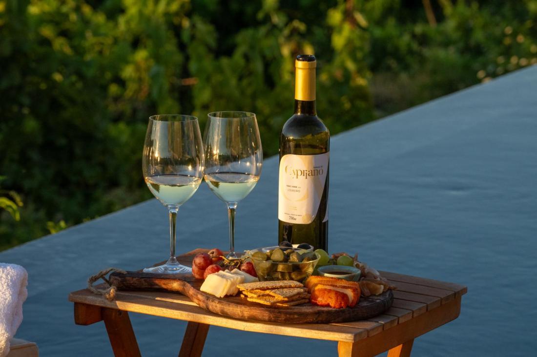 Quinta De Cypriano - Wine & Nature Ponte da Barca Zewnętrze zdjęcie